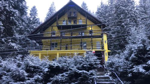 Trei Brazi 39 - Predeal