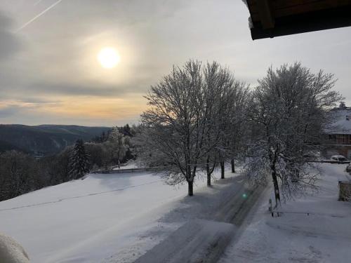 Haus Bergblick in Frauenwald, Deutschland