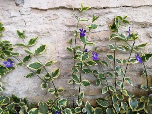 La Malinette bio B&B, calme et authenticité