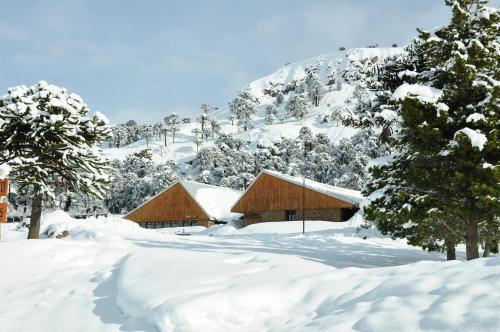 Hotel y Cabañas del Nevado