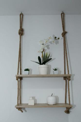 Apartman Park - image 8