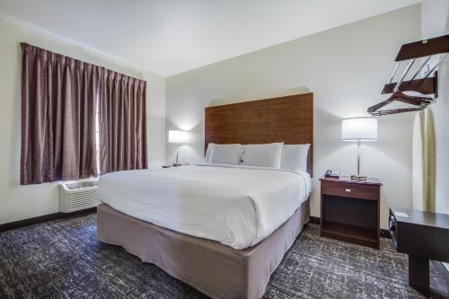 1 king bed, 1 sofa bed
