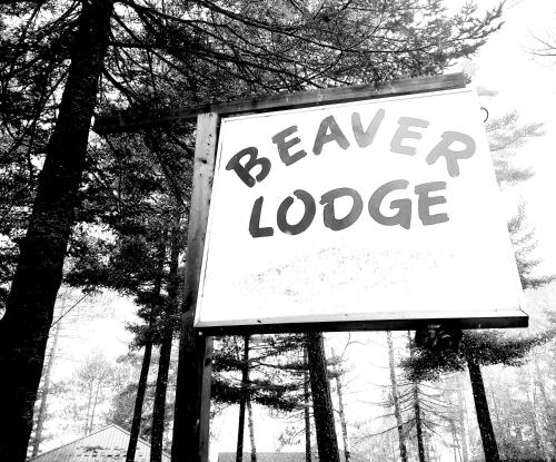 Eunica's Beaver Lodge - image 4