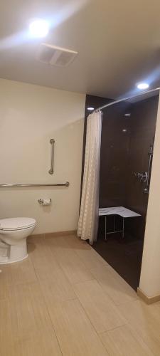 King Studio with Kitchen and Walk-in Shower - Disability Access