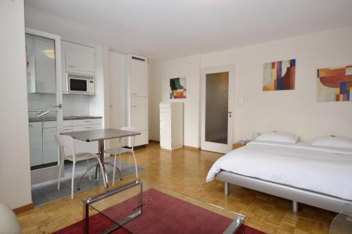 Spacious studio with balcony - Vineyard 71, Zurych (zdjęcie 3)