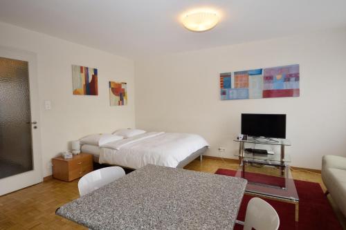 Spacious studio with balcony - Vineyard 71, Zurych (zdjęcie 2)