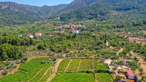  Vineyard Paradise House Pitve in Pitve
