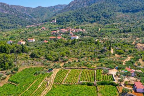  Vineyard Paradise House Pitve in Pitve