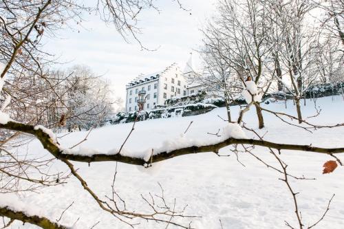 Schloss Wartegg 4