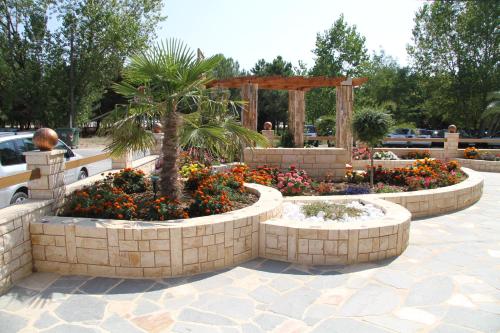 Aphrodite - image 13