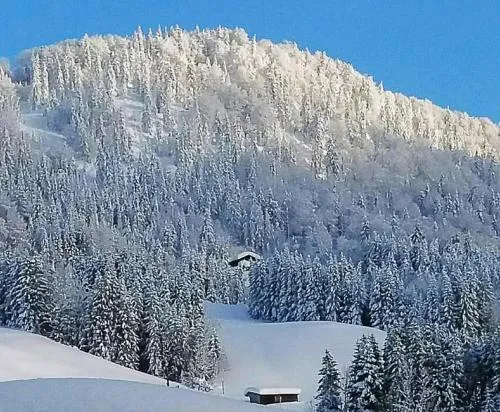 Haus Wiesenblick in Reit im Winkl, Deutschland