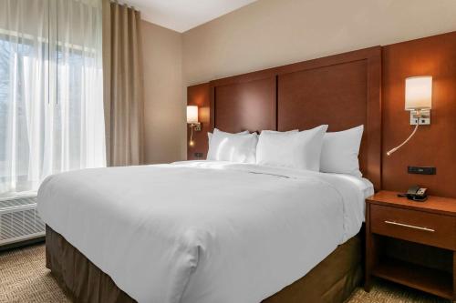 Comfort Suites Camp Hill-Harrisburg West - image 4