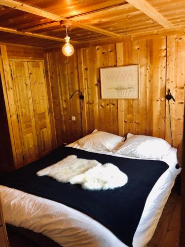 Large flat at the foot of the slopes Les Houches - image 2