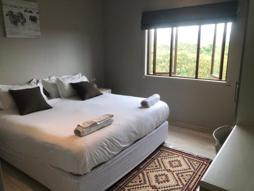 Rainforest Ridge Eco Resort in Kurland