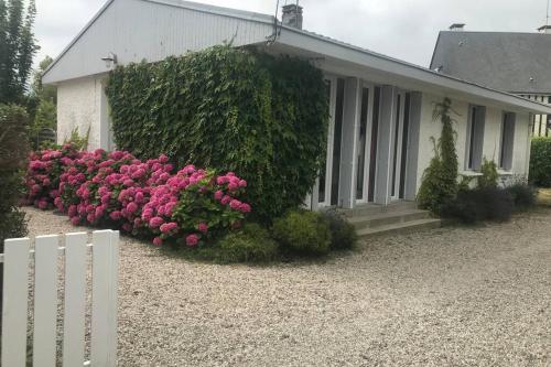 Villa Rosa - Location saisonnière - Cabourg