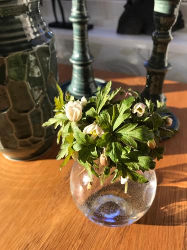 Hotell Magasin 1 - image 5