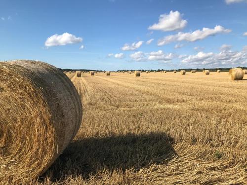 Hotell Magasin 1 - image 7