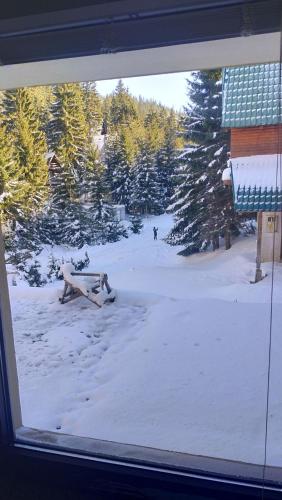 Apartman Hasen Vlašić - image 10