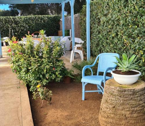 Villa Arbocers - image 4