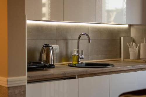 Apartman Studio Milica II in Prozivka