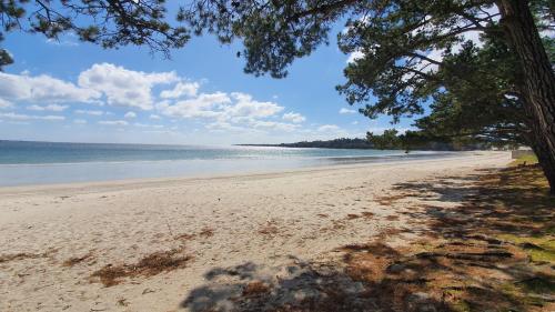 Vacances Ô Loch - Studio à 200 mètres de la plage - Le Cap Coz Fouesnant