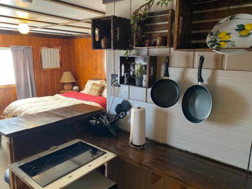 Roundtop Mountain Vista - Cabins and Motel in เทอร์โมโปลิส (WY)