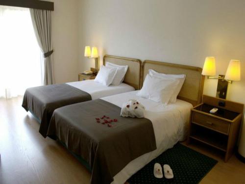Palace Hotel & Spa - Termas de Sao Vicente