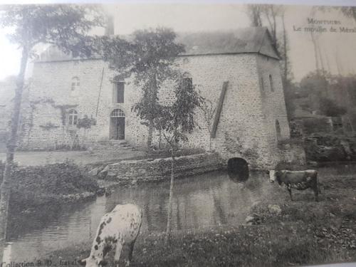 LE MOULIN DE MERAL