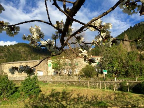 photo chambre Moulin A