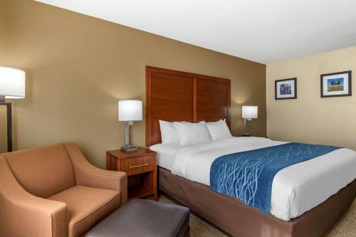 Efficiency King Room - Non-Smoking/Pet Friendly