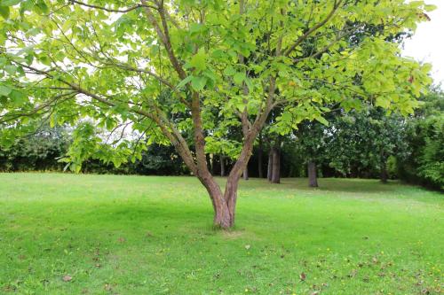 House with 2 bedrooms in Sains with enclosed garden and WiFi 25 km from the beach - image 6