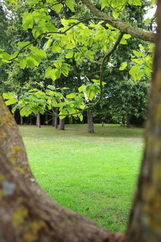 House with 2 bedrooms in Sains with enclosed garden and WiFi 25 km from the beach - image 11