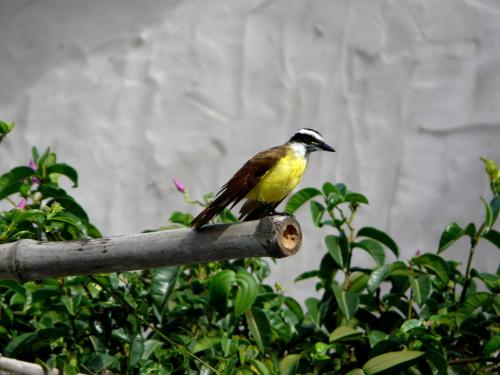 Pousada O Refúgio – Jijoca de Jericoacoara, IL