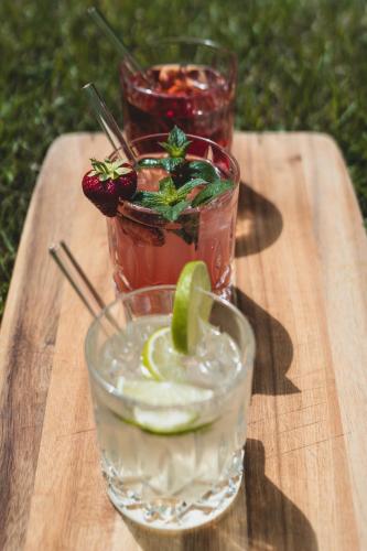 Bio-Hotel Melter - image 9