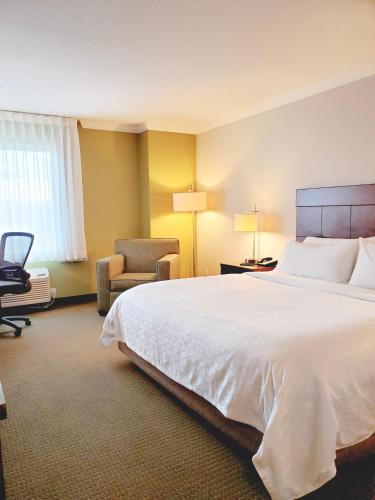 Holiday Inn Express Hotel & Suites Portland-Northwest Downtown, an IHG Hotel