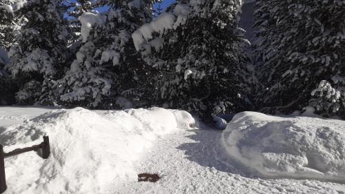  Appartamento Pragelato centro con giardino privato in Pragelato