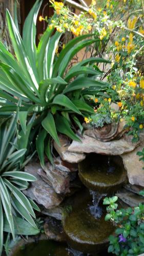 Eco Pousada Jardim do Eden – Alto Paraíso de Goiás, OK