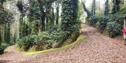Siderbhan Homestay in Mallandur