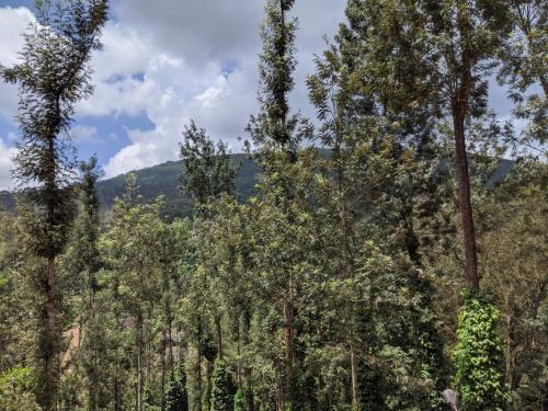Siderbhan Homestay in Mallandur