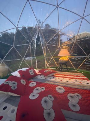 Chalet Valle di Corti in 費加里