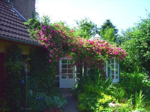 Ferienwohnung Diena - image 7