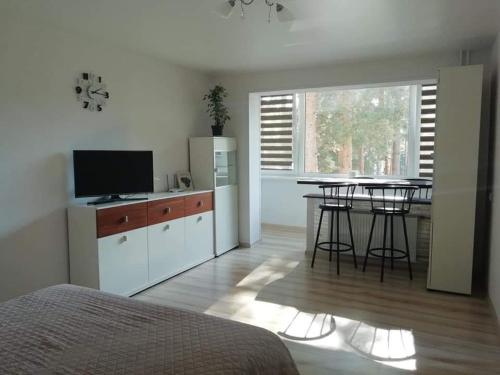 Light one room apartment
