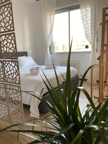  Relax & Comfort Redona 8 - Your Home in Bergamo - Designed for Comfort in Bergamo