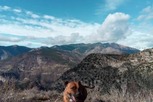 Petit coin de paradis en pleine nature