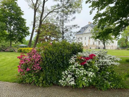 Hotel Pałac Borynia