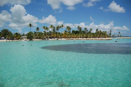 Caribbean’ZEN