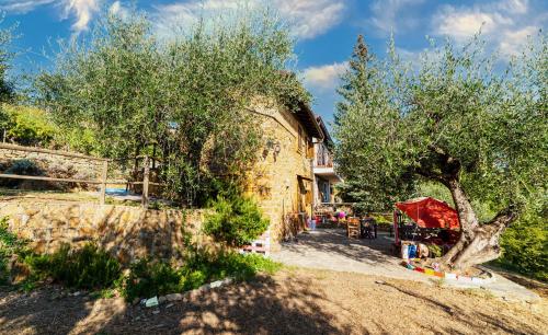 Casetta Maduneta immersa in un oliveto