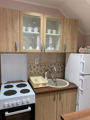 One-Bedroom Apartment image 10