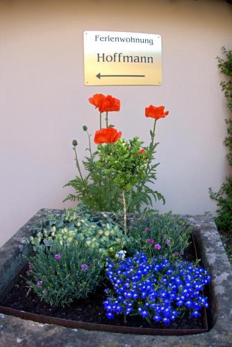 Ferienwohnung Hoffmann - Eifel