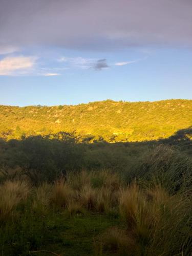 สภาพแวดล้อมโดยรอบ, Dpto cercano al centro con WIFI near สนามบินซานหลุยส์